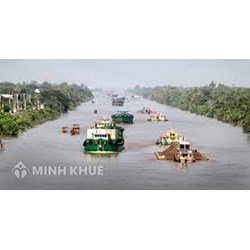 Quy định về định hướng phát triển rừng theo lĩnh vực