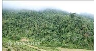 Định hướng sử dụng hiệu quả các nguồn vốn thực hiện Chiến lược trong phát triển rừng