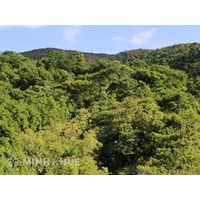 Hoạt động nghiên cứu khoa học, giảng dạy, thực tập, du lịch sinh thái, nghỉ dưỡng, giải trí trong rừng đặc dụng