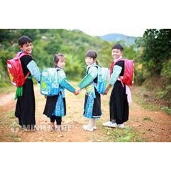 Mức phạt các hành vi vi phạm hành chính trong lĩnh vực bình đẳng giới liên quan đến giáo dục, đào tạo
