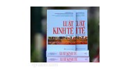 Sách Luật Kinh tế (chuyên khảo) - TS. Nguyễn Thị Dung