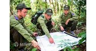 Quyền và nghĩa vụ của ban quản lý rừng đặc dụng