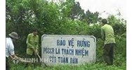 Quyền và nghĩa vụ của hộ gia đình, cá nhân được Nhà nước giao rừng phòng hộ