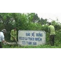 Quyền và nghĩa vụ của hộ gia đình, cá nhân được Nhà nước giao rừng phòng hộ