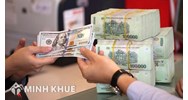 Đặc điểm của chứng cứ trong các tội xâm phạm quyền sở hữu