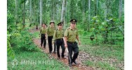 Thẩm quyền xử phạt vi phạm hành chính liên quan đến lĩnh vực lâm nghiệp