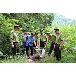 Giám định mẫu vật các loài động vật, thực vật hoang dã nguy cấp thuộc Phụ lục CITES