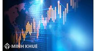 Hoạt động của Sở giao dịch chứng khoán Việt Nam