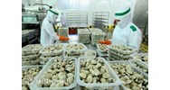 Tại sao lại có hiệp định EVFTA? Phê chuẩn Hiệp định? Các giải pháp để thực thi Hiệp định EVFTA?  Doanh nghiệp Việt Nam cần tránh những lỗi cơ bản nào để thực thi Hiệp định EVFTA hiệu quả?