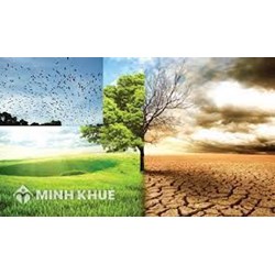 Pháp luật về ứng phó biến đổi khí hậu theo các quy định hiện hành