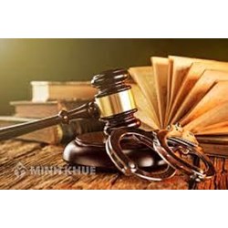 Nguyên tắc tổ chức điều tra hình sự? Hệ thống Cơ quan điều tra hình sự?