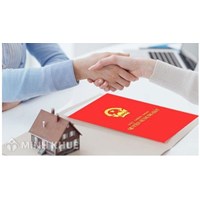 Đối tượng áp dụng cưỡng chế bằng biện pháp kê biên tài sản, bán đấu giá tài sản kê biên