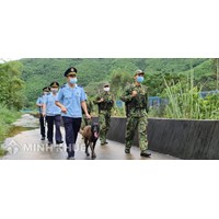 Vị trí, chức năng và nhiệm vụ của Cục Điều tra chống buôn lậu - Tổng Cục Hải quan