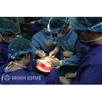 Quy định của pháp luật về hiến, lấy, ghép mô, bộ phận cơ thể người ở người sống