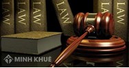 Hoạt động của cơ quan đại diện của Việt Nam ở nước ngoài