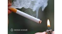 Quy định pháp luật hiện hành về Điều kiện tổ chức hoạt động cai nghiện, tư vấn cai nghiện thuốc lá