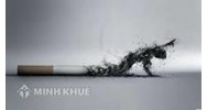 Để hoạt động chế biến nguyên liệu thuốc lá cần những điều kiện gì?