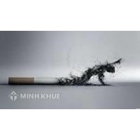 Để hoạt động chế biến nguyên liệu thuốc lá cần những điều kiện gì?