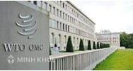 DS121- tranh chấp giữa Argentina và Cộng đồng Châu Âu (EC) về các biện pháp tự vệ đối với giày da nhập khẩu.