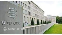 DS121- tranh chấp giữa Argentina và Cộng đồng Châu Âu (EC) về các biện pháp tự vệ đối với giày da nhập khẩu.