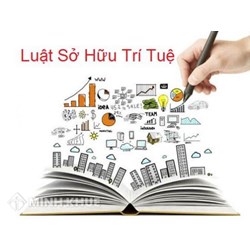 Xử lý xâm phạm bằng biện pháp hành chính về bảo vệ quyền sở hữu trí tuệ