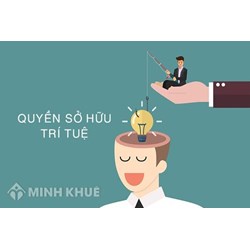 Đăng ký bảo hộ độc quyền nhãn hiệu "Cat ba vision" đối với dịch vụ lữ hành quốc tế