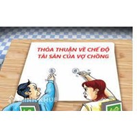 Hiệu lực của thoả thuận chế độ tài sản vợ, chồng