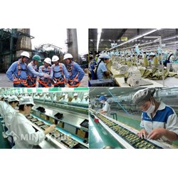 Kỷ luật lao động phải tuân thủ nguyên tắc, trình tự, thủ tục nào?