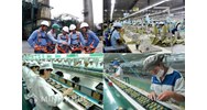 Bảo đảm quyền bình đẳng của lao động theo quy định mới nhất