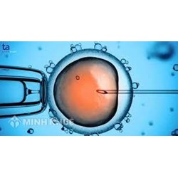 Mức phạt hành chính hành vi vi phạm quy định về sinh con bằng kỹ thuật thụ tinh trong ống nghiệm