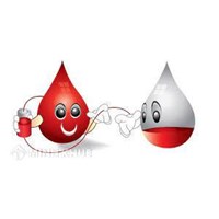 Quy định pháp luật hiện hành về Ngân hàng mô
