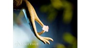 Khái niệm về "tự ngã"? Quan điểm của Sigmund Freud và Phật giáo về "tự ngã"