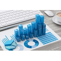 Bằng chứng kiểm toán đối với các khoản mục và sự kiện đặc biệt (Chuẩn mực kiểm toán số 501)