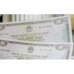 Thẩm quyền, phê duyệt và cấp bảo lãnh chính phủ cho khoản phát hành trái phiếu của doanh nghiệp