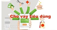Hoạt động cho vay phục vụ hoạt động kinh doanh và phục vụ nhu cầu đời sống