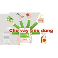 Hoạt động cho vay phục vụ hoạt động kinh doanh và phục vụ nhu cầu đời sống