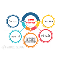 Bảo hiểm bắt buộc là gì ? Chế độ và đối tượng tham gia bảo hiểm bắt buộc