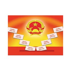 Quyền bầu cử, quyền ứng cử theo pháp luật hiện hành