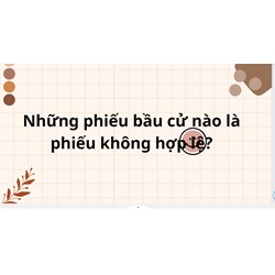 Những phiếu bầu cử nào là phiếu không hợp lệ?