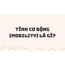 Tính cơ động (mobility) là gì ?