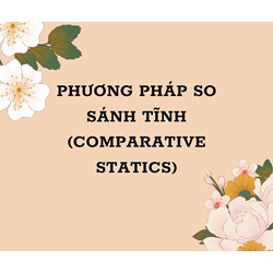 Phương pháp so sánh tĩnh (comparative statics) là gì ?