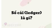 Sổ cái (ledger) là gì ?