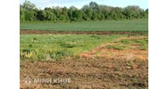 Căn cứ tính lệ phí trước bạ nhà đất và ghi nợ trước bạ nhà đất?