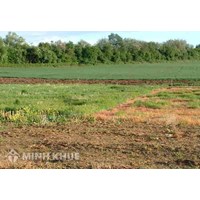 Căn cứ tính lệ phí trước bạ nhà đất và ghi nợ trước bạ nhà đất?