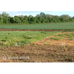 Căn cứ tính lệ phí trước bạ nhà đất và ghi nợ trước bạ nhà đất?