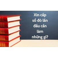 Các trường hợp sử dụng đất được cấp sổ đỏ, sổ hồng theo quy định?
