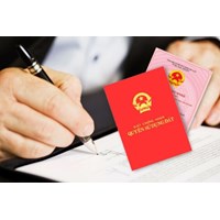 Cấp sổ đỏ, sổ hồng cho cá nhân, hộ gia đình có vi phạm luật đất đai?