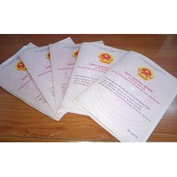 Mẫu giấy tờ thực hiện thủ tục đăng ký cấp sổ đỏ, sổ hồng lần đầu?