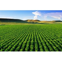 Trình tự, thủ tục gia hạn sử dụng đất nông nghiệp của hộ gia đình, cá nhân khi hết hạn sử dụng đất?