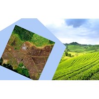 Hồ sơ cần nộp khi thực hiện thủ tục gia hạn sử dụng đất ngoài khu công nghệ cao, khu kinh tế ?